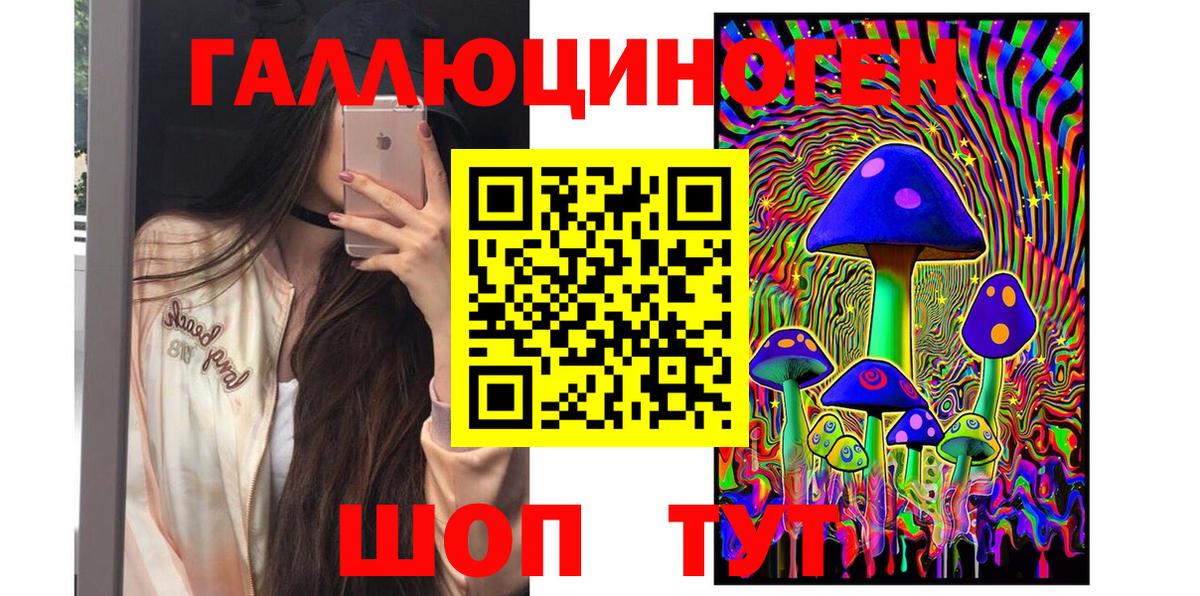 Братск  Псилоцибиновые грибы MAGIC MUSHROOMS  Вход с VPN 