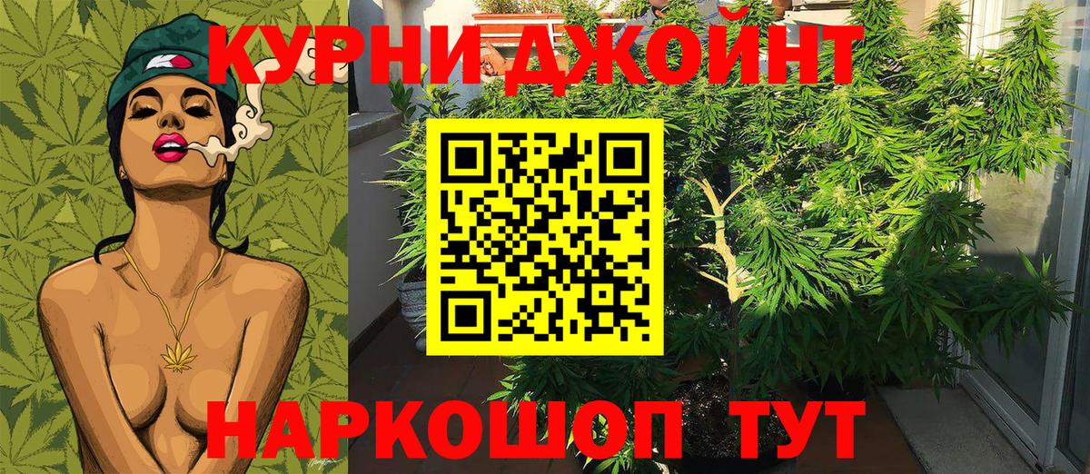 Каннабис VHQ  Канабис White Widow  Канабис конопля  Конопля гибрид  Вход с VPN  Братск 
